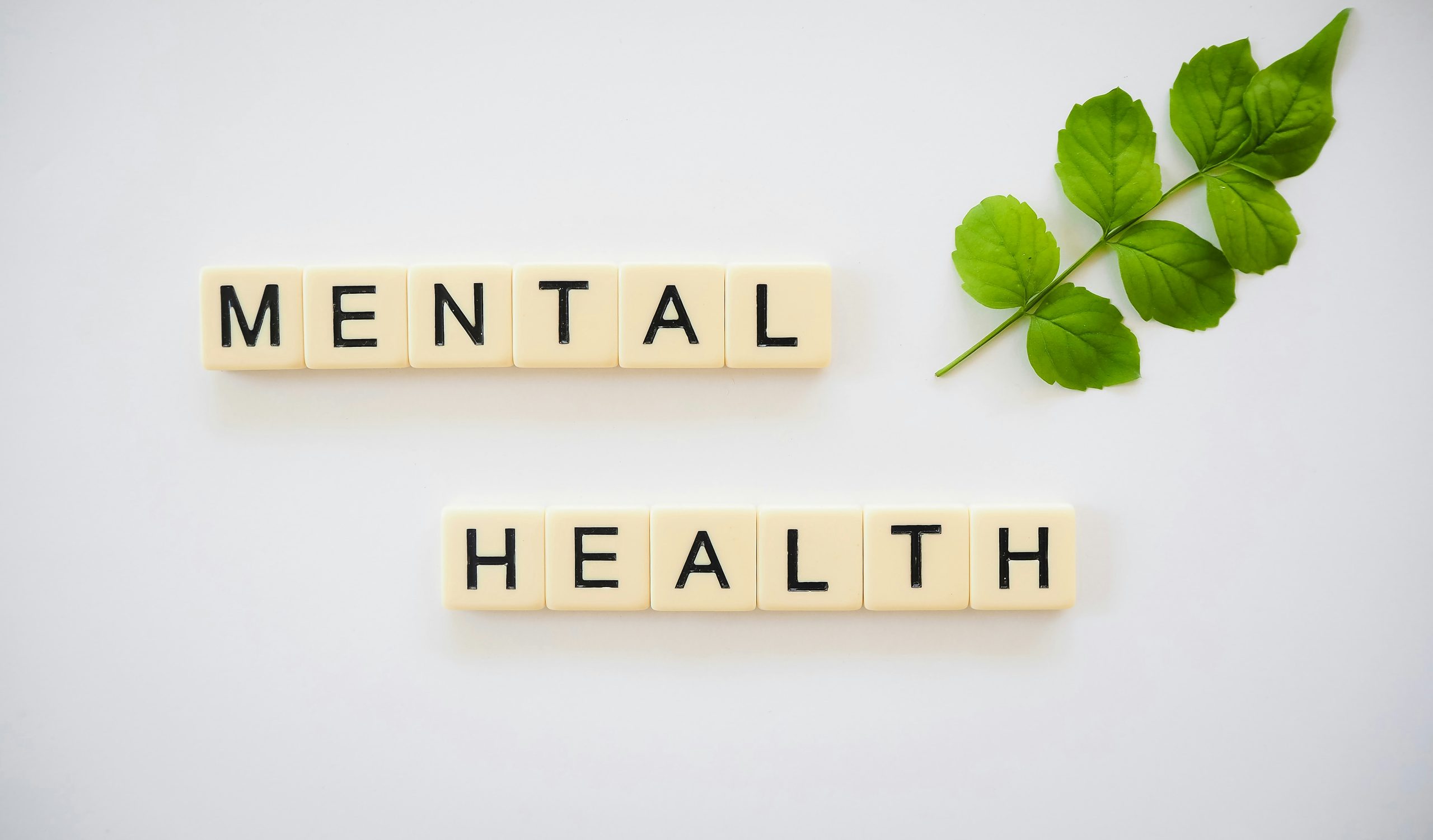 natural life mental health