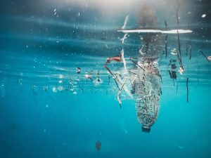 how to avoid microplastics