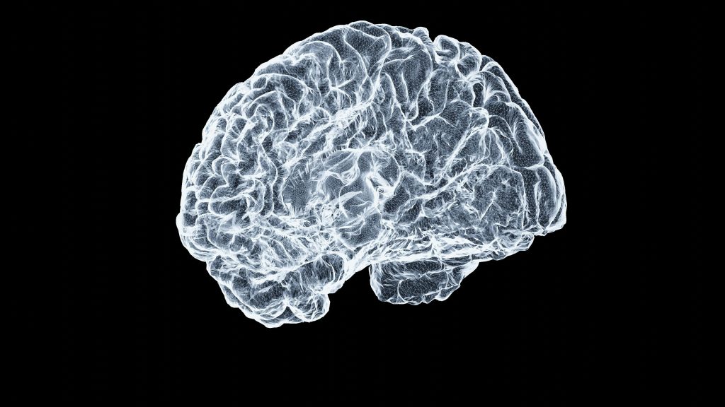 microplastics in brain
