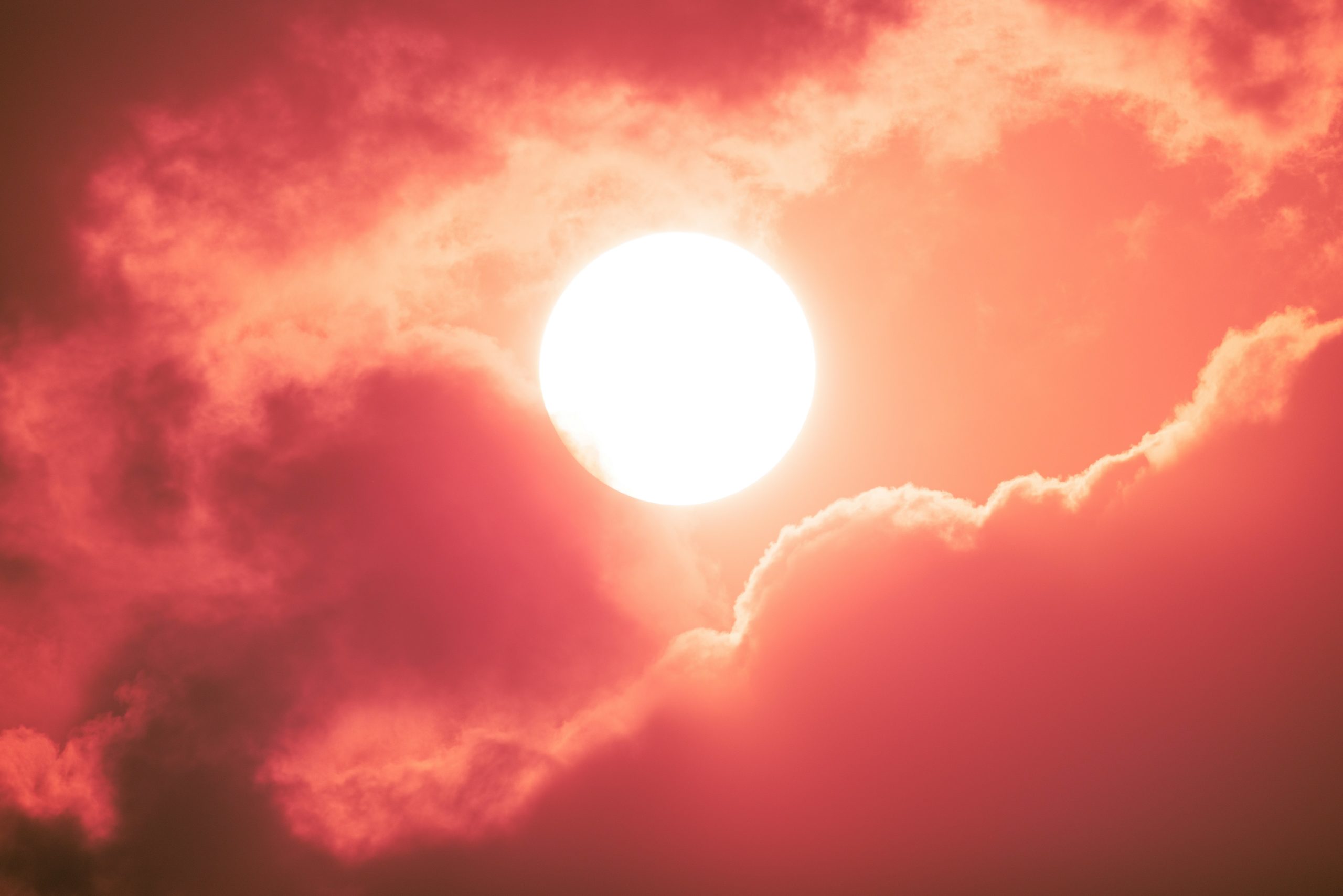 heat advisory