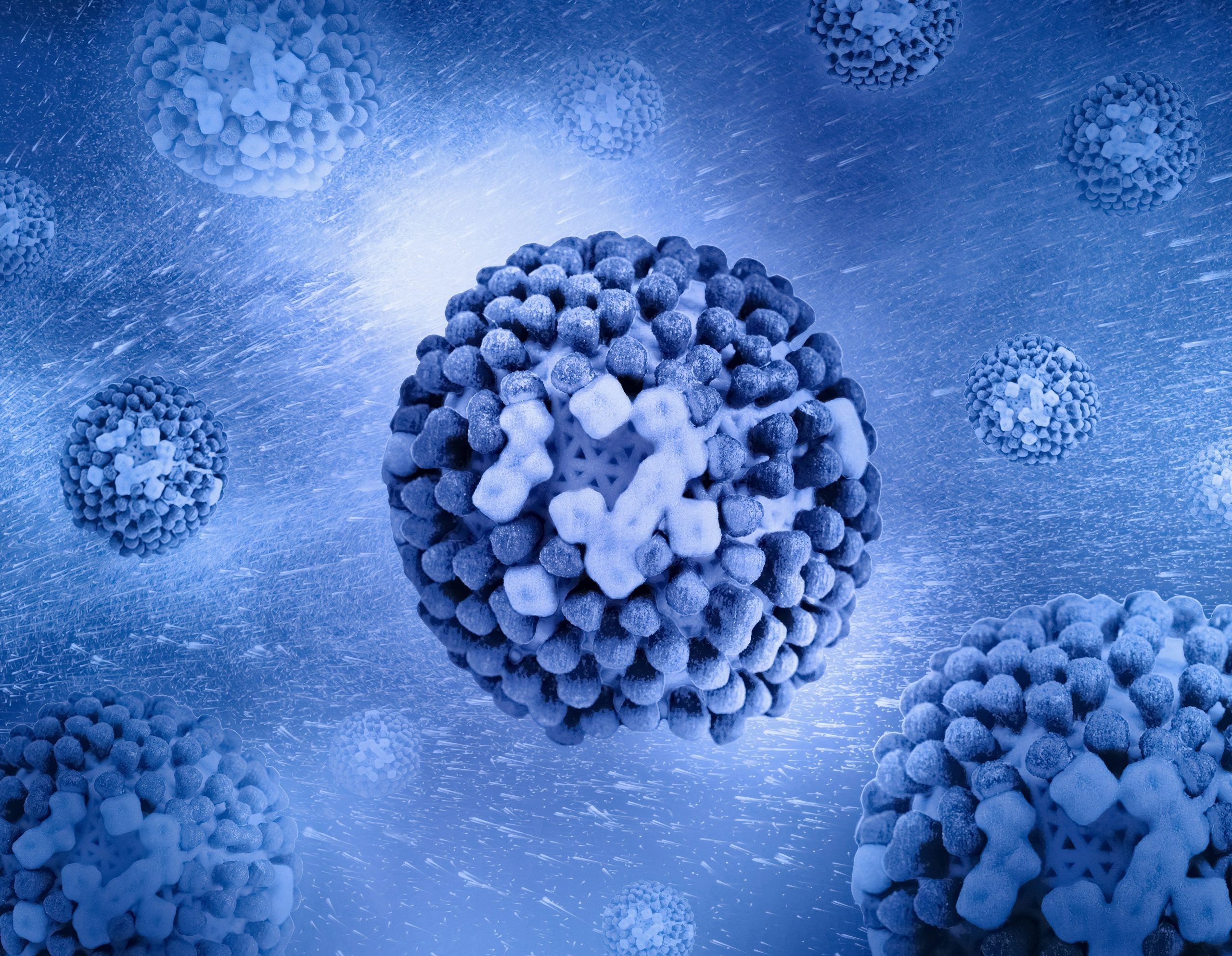 vibrio vulnificus